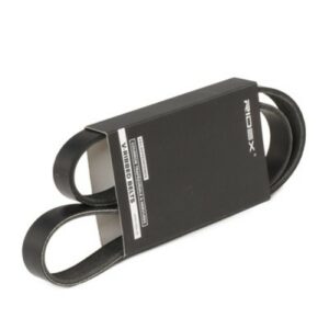 SBPL_Courroie Poly-V / 305P0053