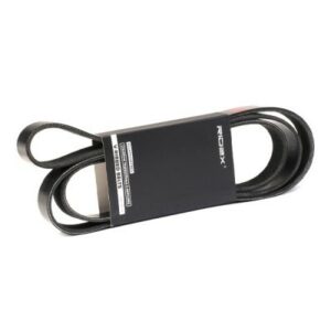 SBPL_Courroie Poly-V / 305P0110