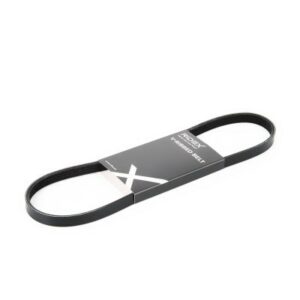 SBPL_Courroie Poly-V / 305P0012