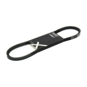 SBPL_Courroie trapézoïdale / 10C0053