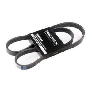 SBPL_Courroie Poly-V / 305P0181