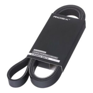 SBPL_Courroie Poly-V/305P0071